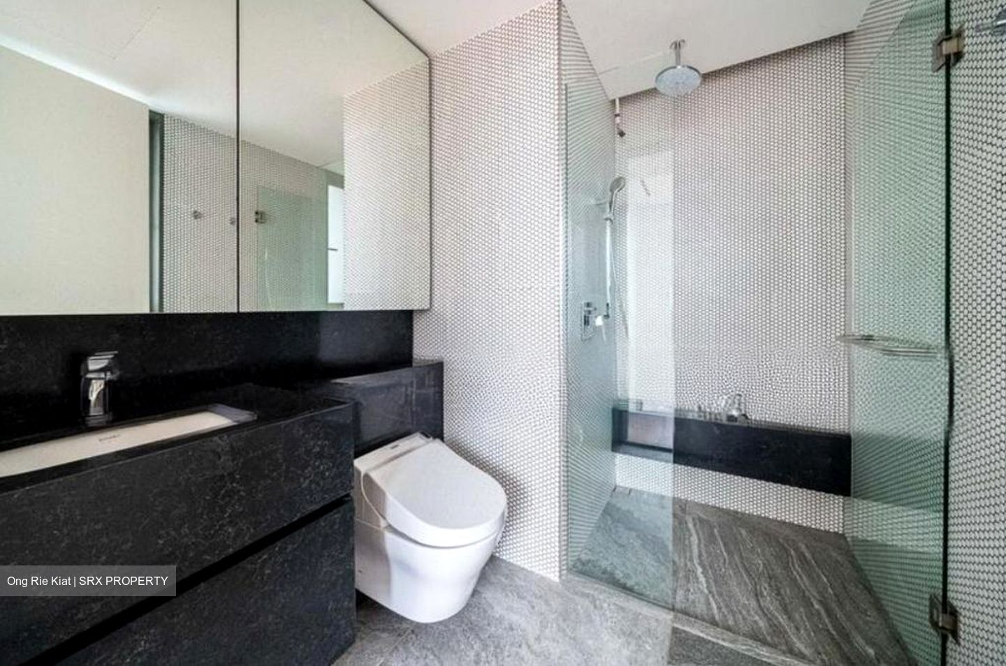 10 Evelyn (D11), Apartment #523675461
